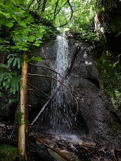 c0359615_19222087.jpg
