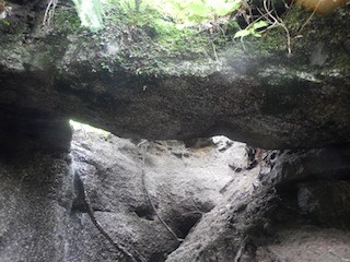 c0359615_19231130.jpg