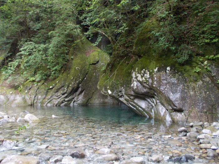 b0037220_21433981.jpg