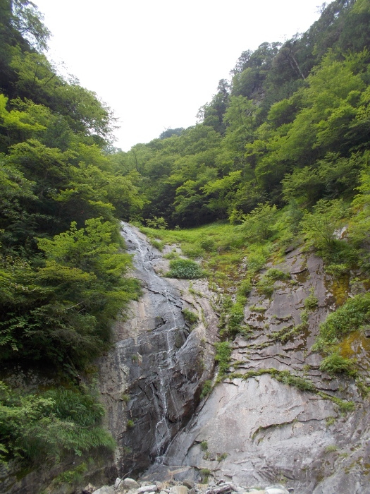 b0037220_21454248.jpg