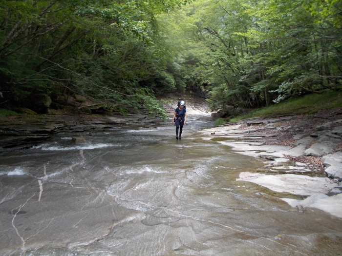 b0037220_21553793.jpg