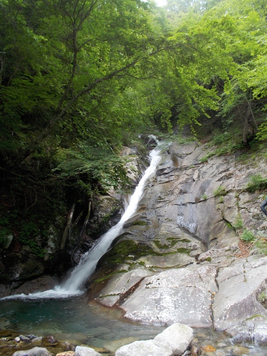 b0037220_21584658.jpg