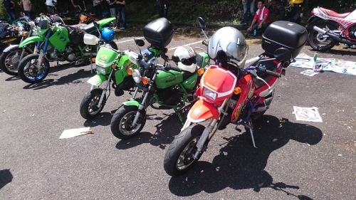 b0360421_20321443.jpg