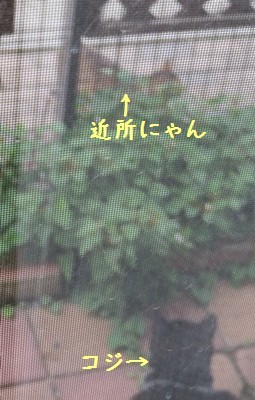 c0013922_14053499.jpg