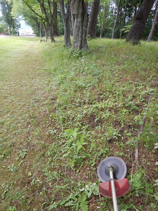 c0111229_19342735.jpg