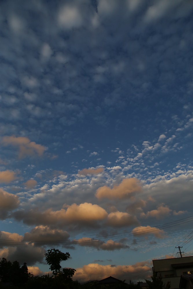 c0111229_19344628.jpg