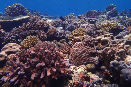 b0100730_1952286.jpg