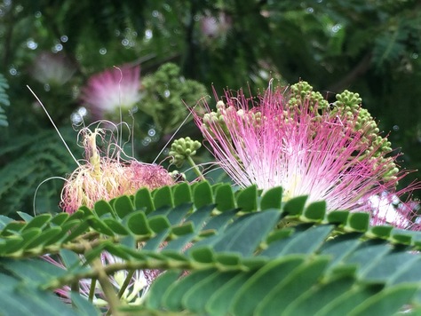 c0077330_15383667.jpg