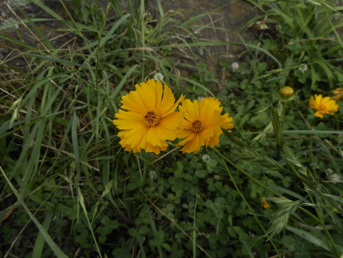 a0310035_19422646.jpg