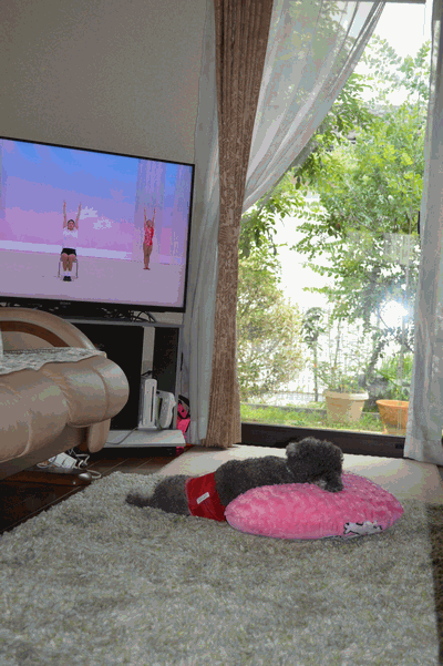 c0136736_15563459.gif