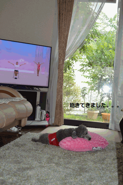 c0136736_15565313.gif