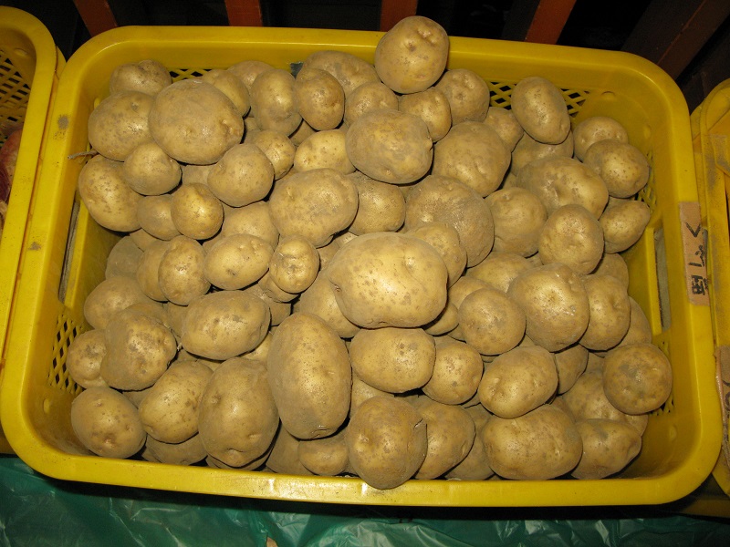 d0333943_6371276.jpg