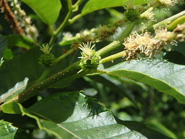 f0334143_17424049.jpg