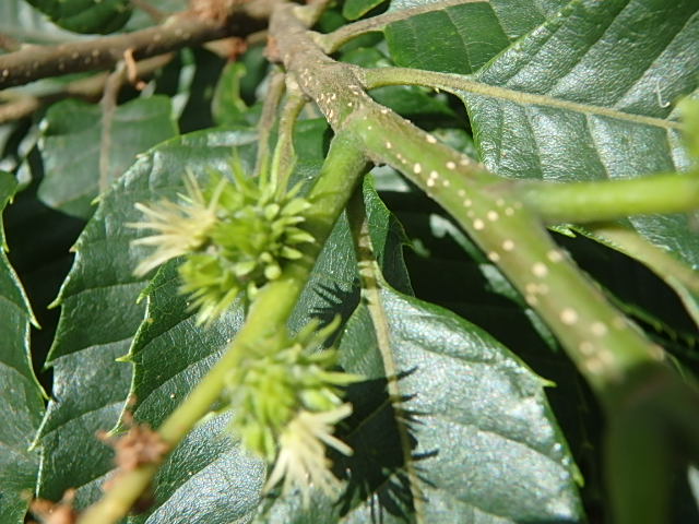f0334143_17424690.jpg