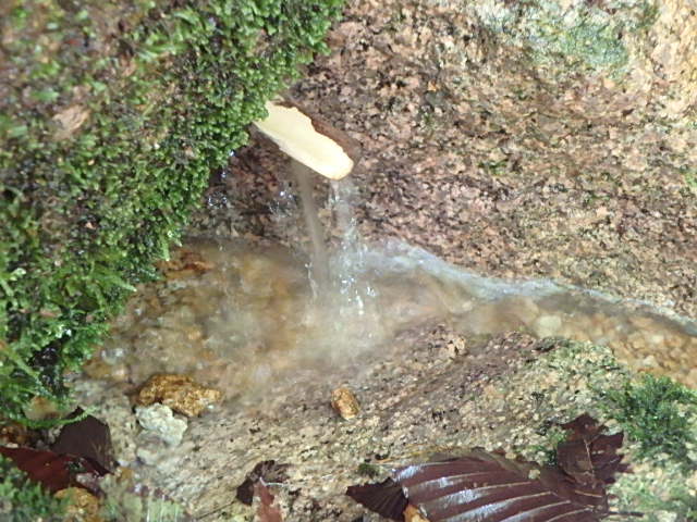 f0334143_1742587.jpg