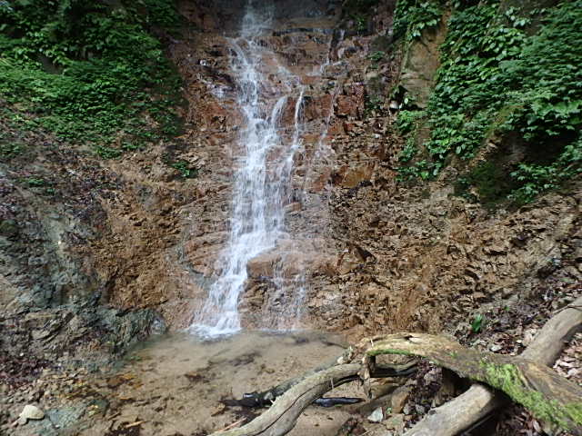 f0334143_17463137.jpg