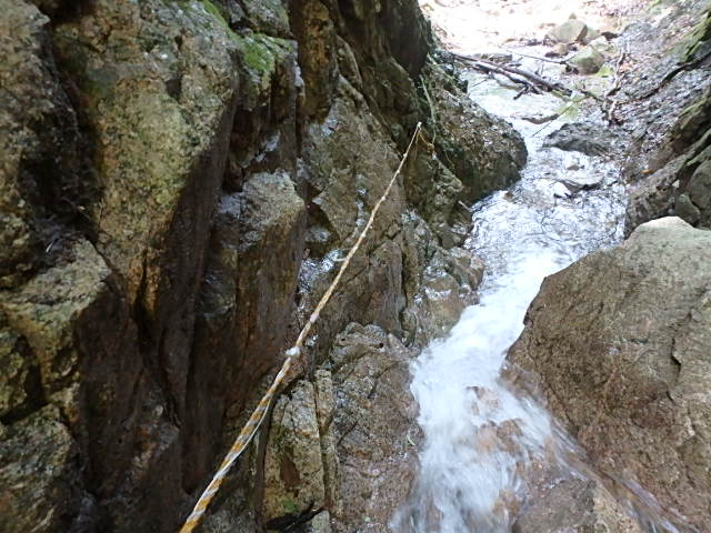f0334143_1751440.jpg