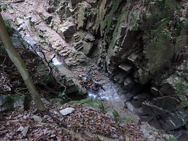 f0334143_17515565.jpg