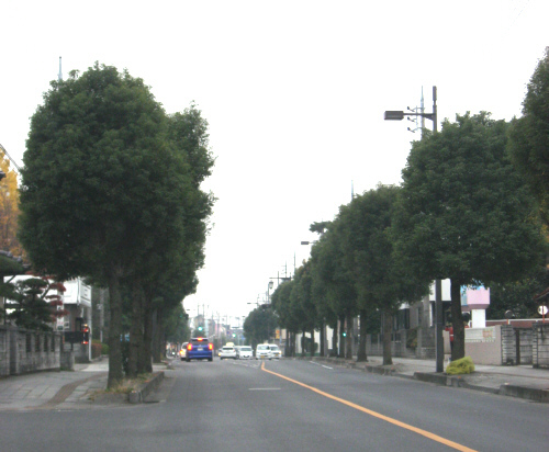 f0153547_11362398.jpg