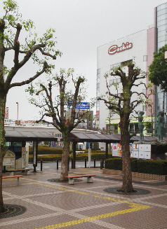 f0153547_11441789.jpg