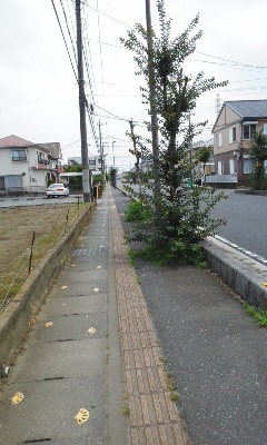 f0153547_11480023.jpg