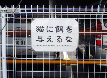 d0218056_6162967.jpg