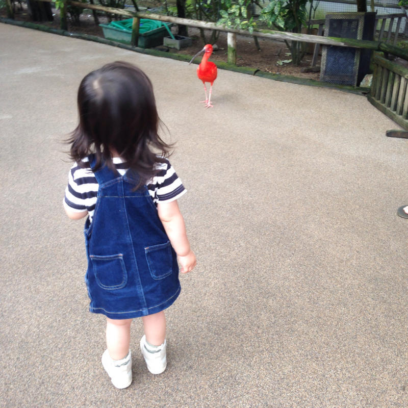 b0364877_21125142.jpg