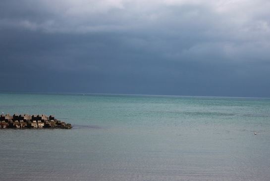 f0230777_2013967.jpg