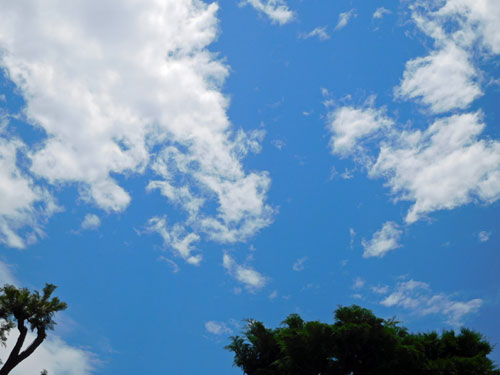 e0110281_1528291.jpg
