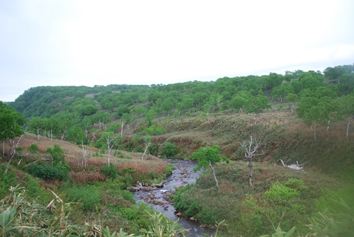 a0133886_18293750.jpg