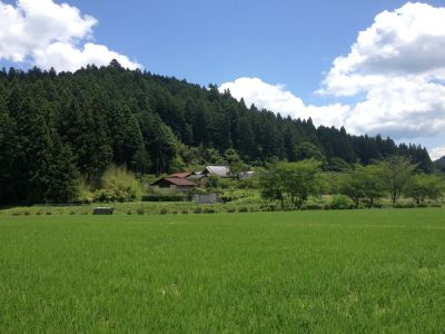 d0021786_555599.jpg