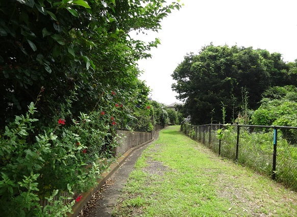 d0183387_00513367.jpg