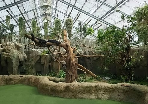 f0297893_18424692.jpg