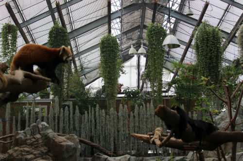 f0297893_198312.jpg