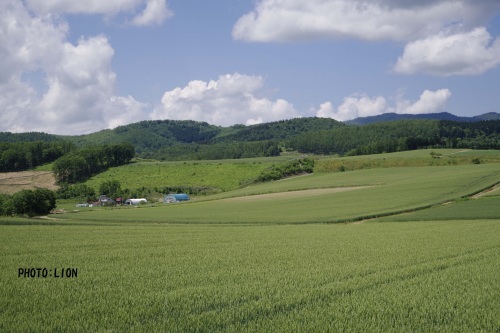 c0352894_12555799.jpg