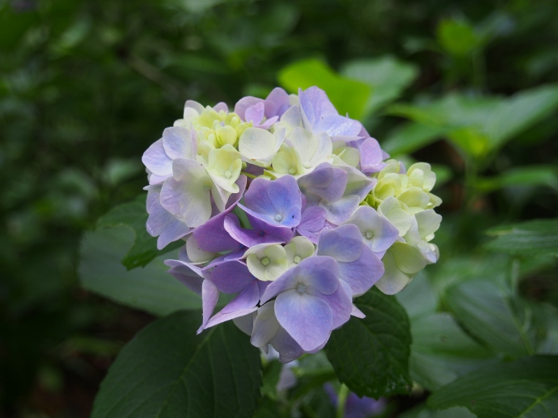 b0039898_10283876.jpg