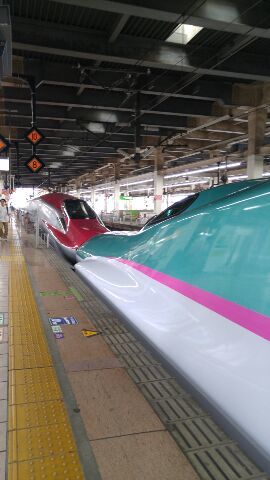 c0220700_15224386.jpg