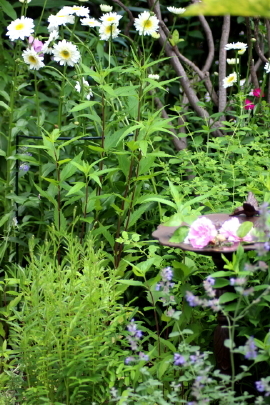f0041606_20010026.jpg