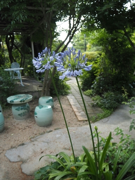 b0307008_07500384.jpg