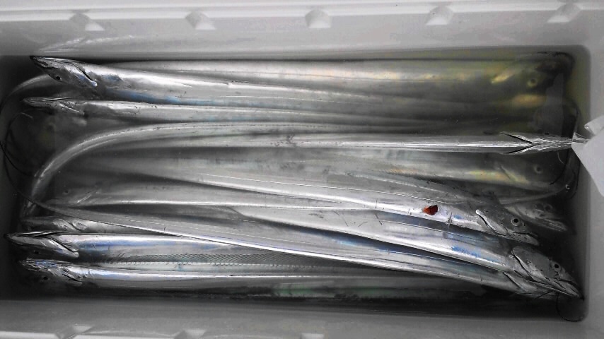 e0123808_15493164.jpg