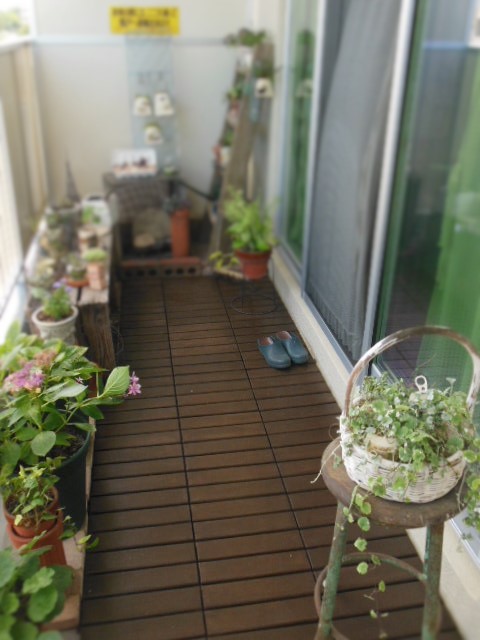 f0208812_1644324.jpg
