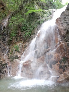 c0359615_22113820.jpg