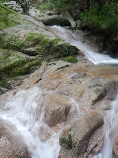 c0359615_22122227.jpg