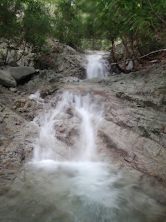 c0359615_22130651.jpg