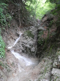 c0359615_22144363.jpg