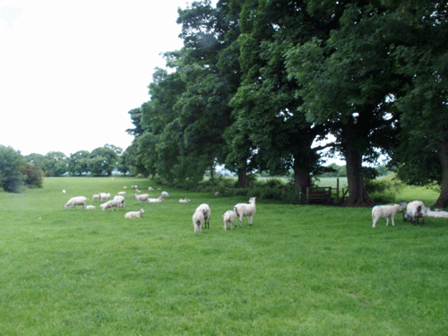 e0312121_20191739.gif