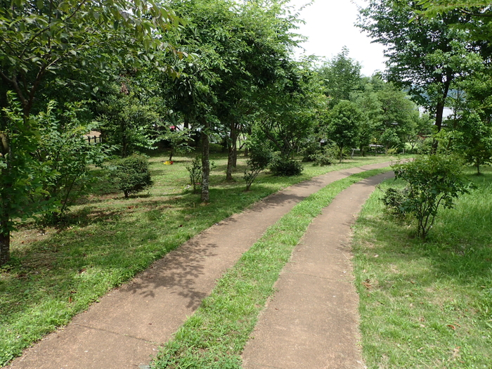 c0034029_23401832.jpg