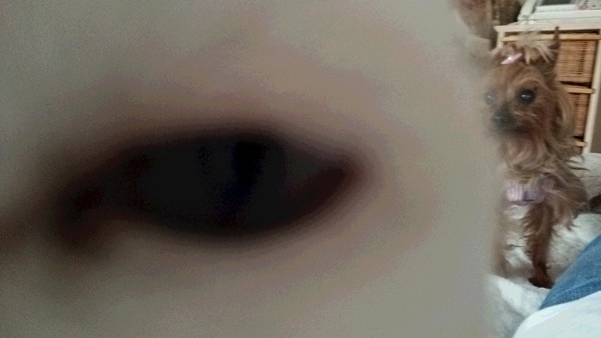 f0002833_11323021.jpg