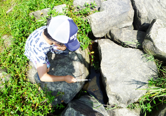 d0351435_14083478.jpg