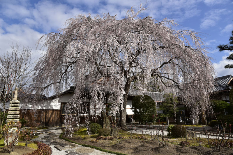 b0042837_6173661.jpg